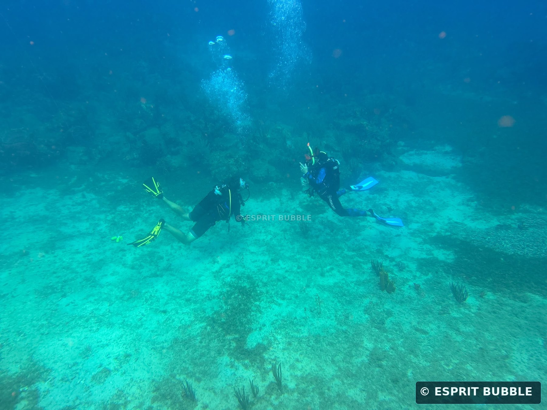 Plongeurs en exploration